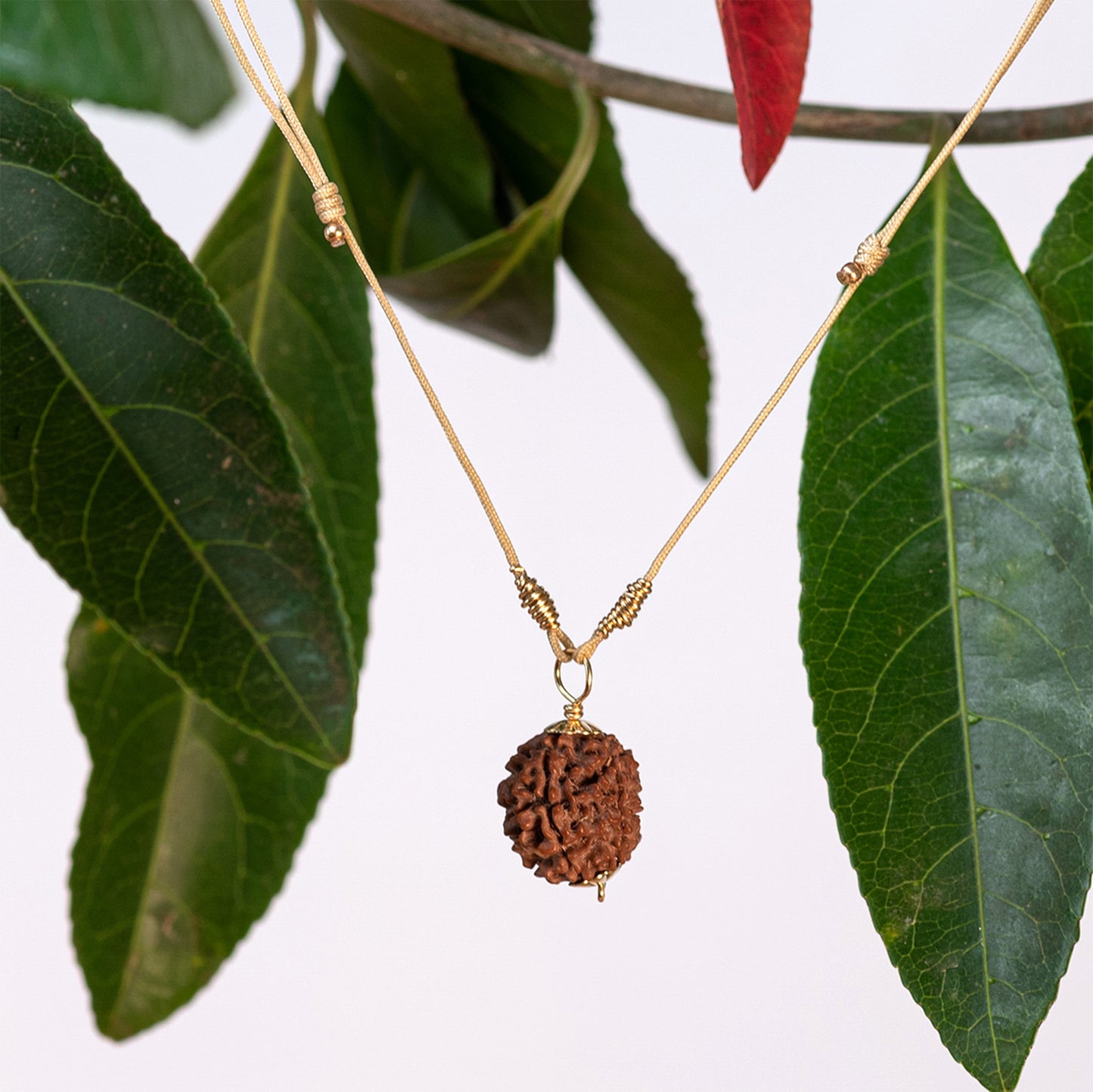 Guru Purnima Amritapuri Rudraksha Necklace - Gold