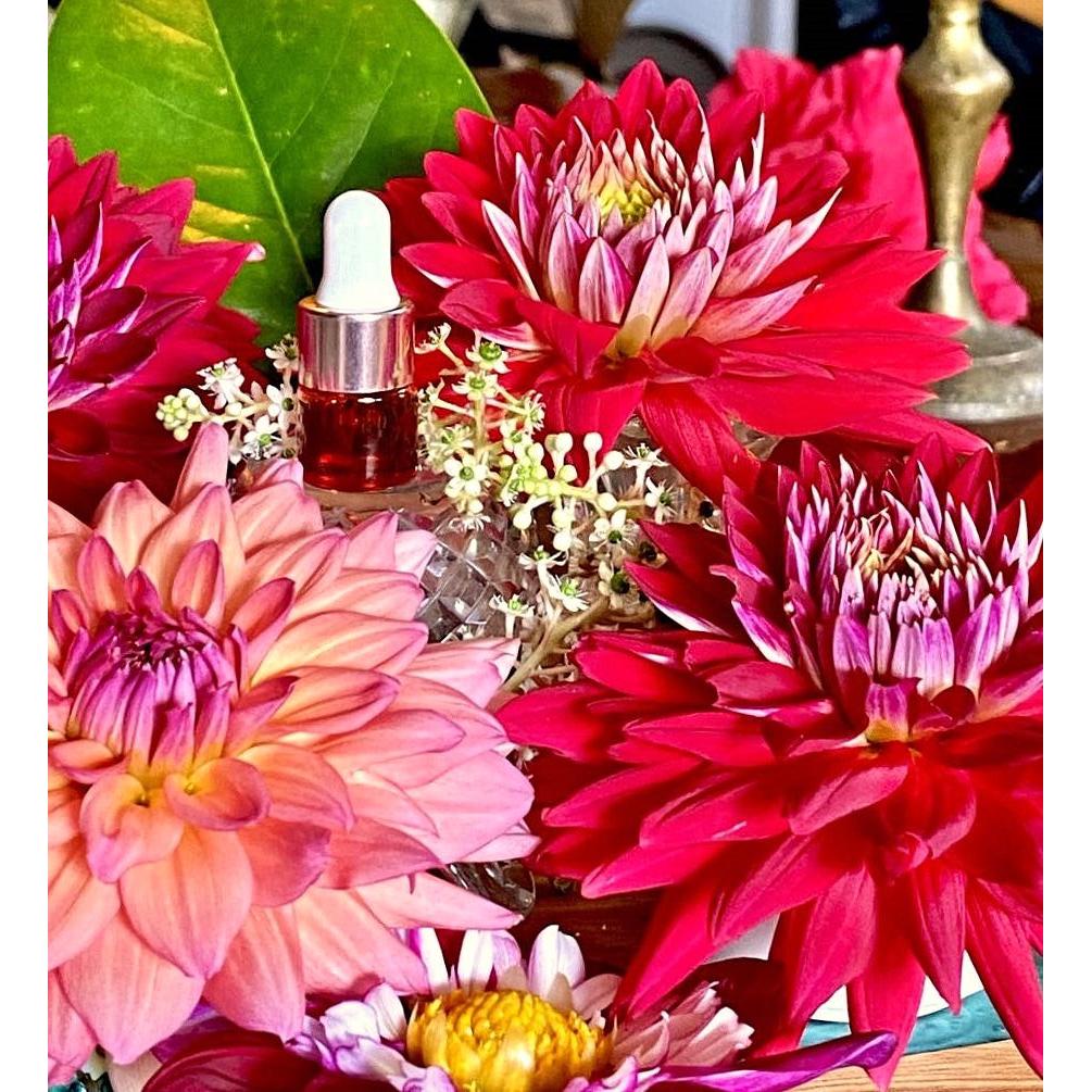 Amma's Golden Sacred Lotus