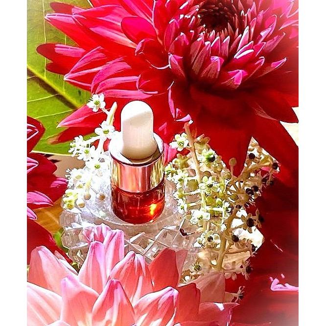 Amma's Golden Sacred Lotus (Gaja Lakshmi - Abundance)