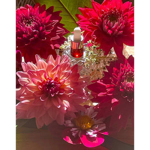 Amma's Golden Sacred Lotus