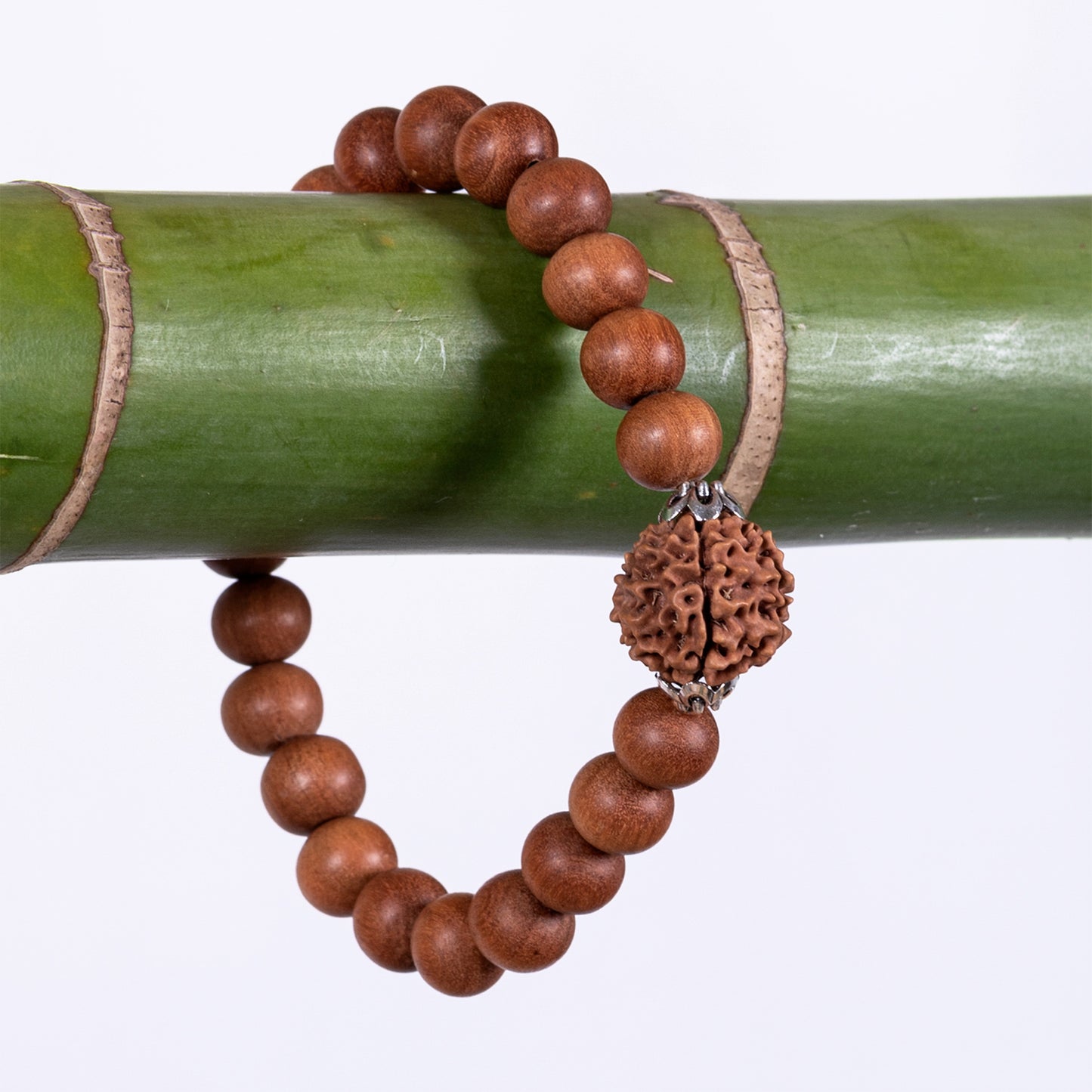 Pranava – Amritapuri Rudraksha & Whitewood Mala Bracelet