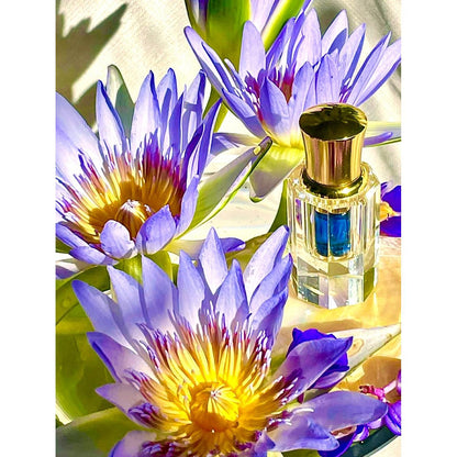 Amma’s Lord Krishna’s Sacred Blue Lotus (Divine Enlightenment)