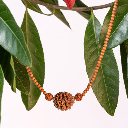 Bodhi - Amritapuri Rudraksha & Sandalwood Bead Necklace