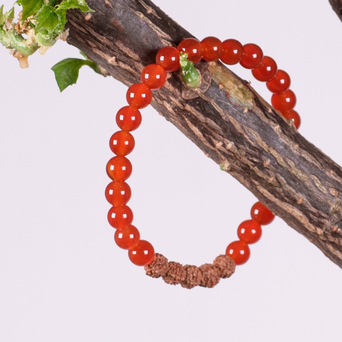 Kanti Gemstone & 5-Rudraksha Bracelet