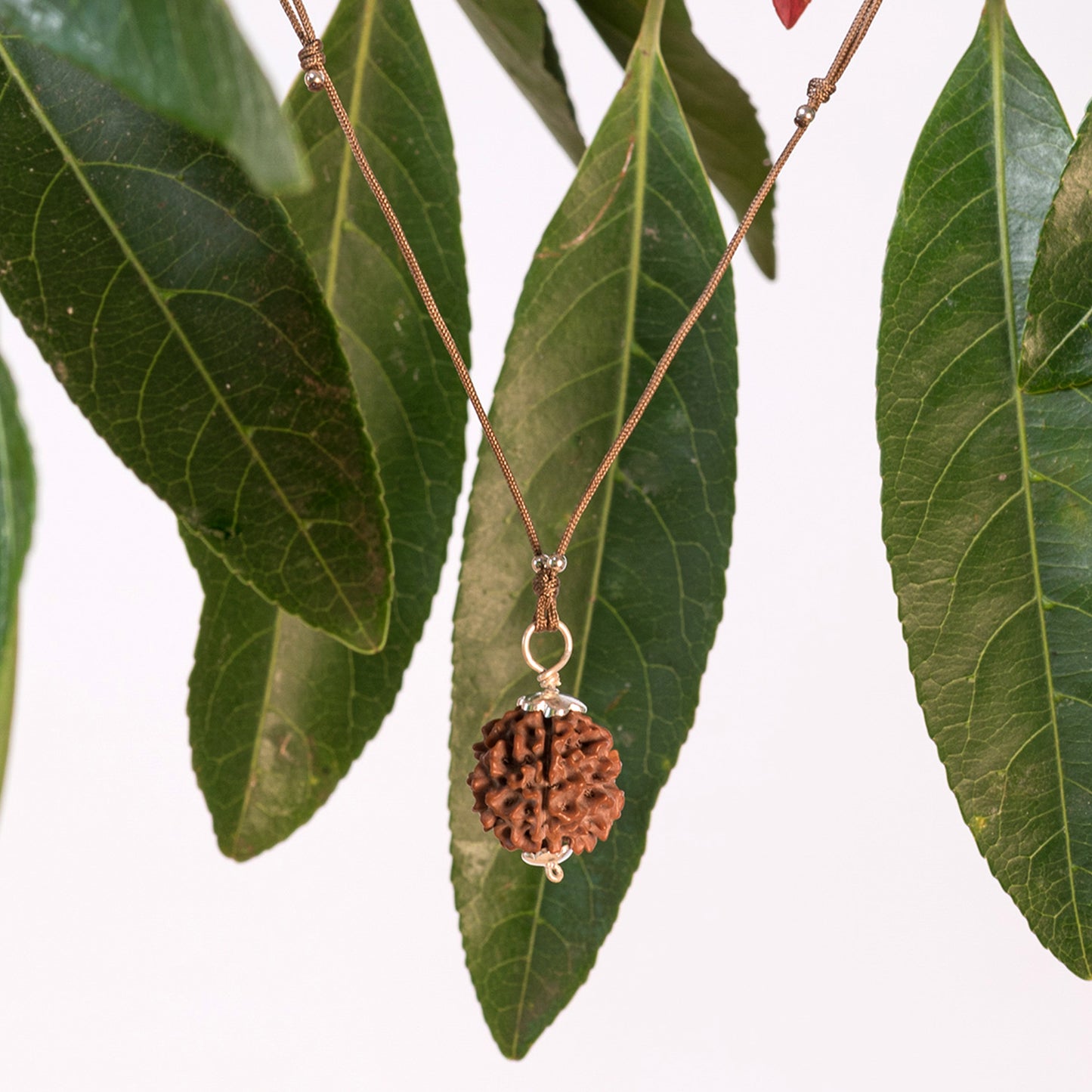 Guru Purnima Amritapuri Rudraksha Necklace - Silver