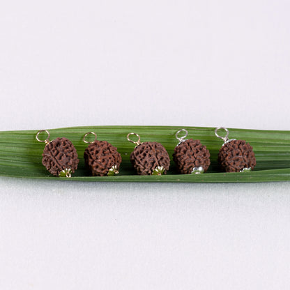 Guru Purnima Amritapuri Rudraksha Pendant - Silver