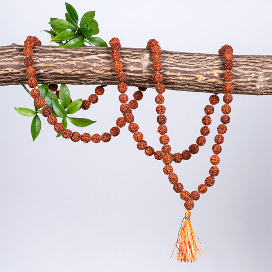 Shivam Rudraksha Japa Mala